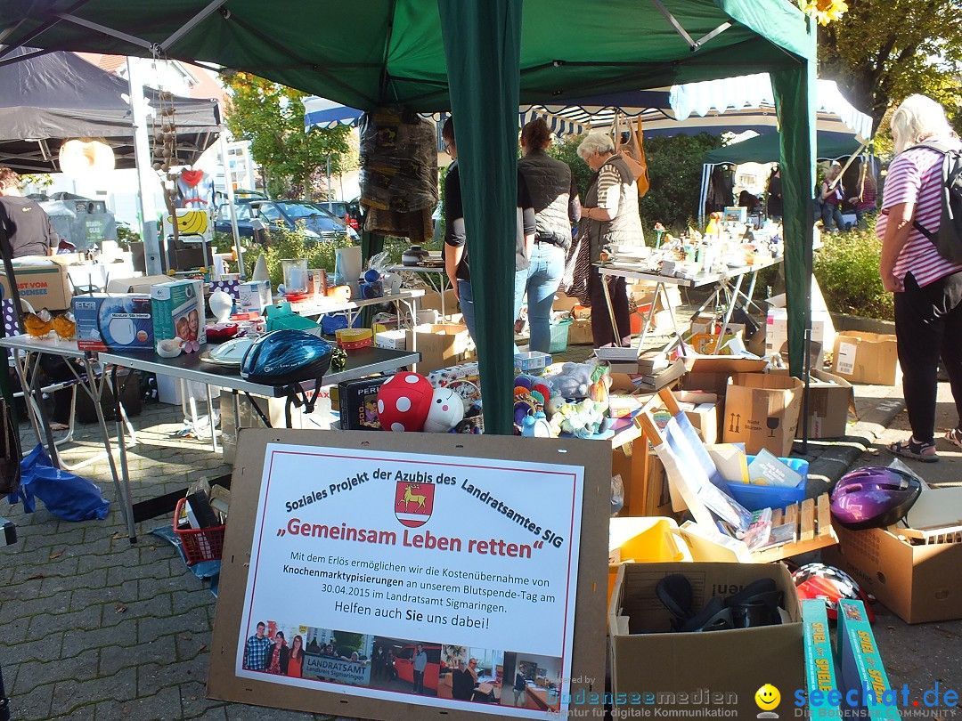 Flohmarkt und Trabbi-Treffen: Bad-Saulgau, 20.09.2014