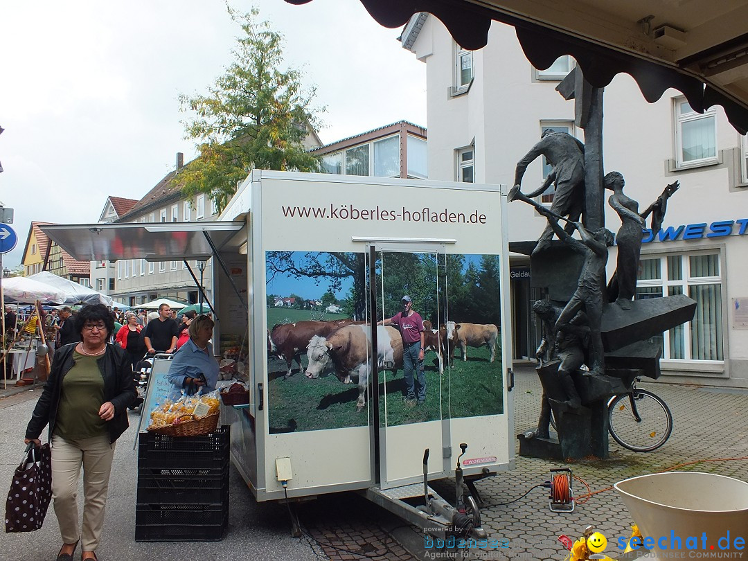 Flohmarkt und Trabbi-Treffen: Bad-Saulgau, 20.09.2014