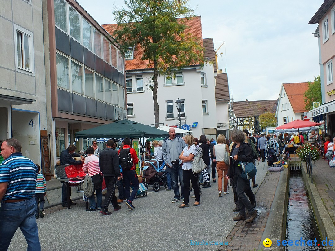 Flohmarkt und Trabbi-Treffen: Bad-Saulgau, 20.09.2014