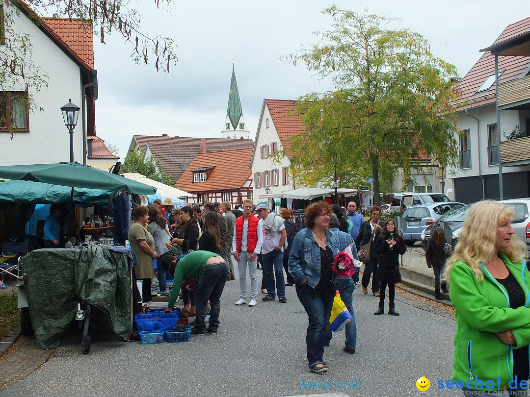 Flohmarkt und Trabbi-Treffen: Bad-Saulgau, 20.09.2014