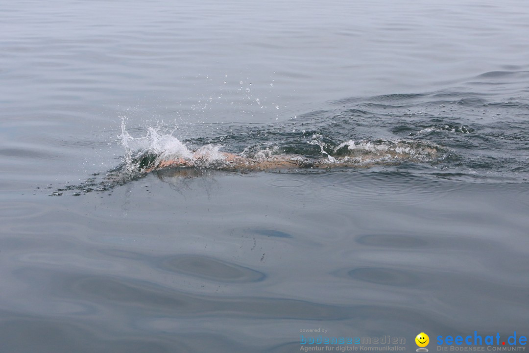 Bodenseequerung mit seechat.de Begleitboot: Maex: Friedrichshafen, 26.09.20