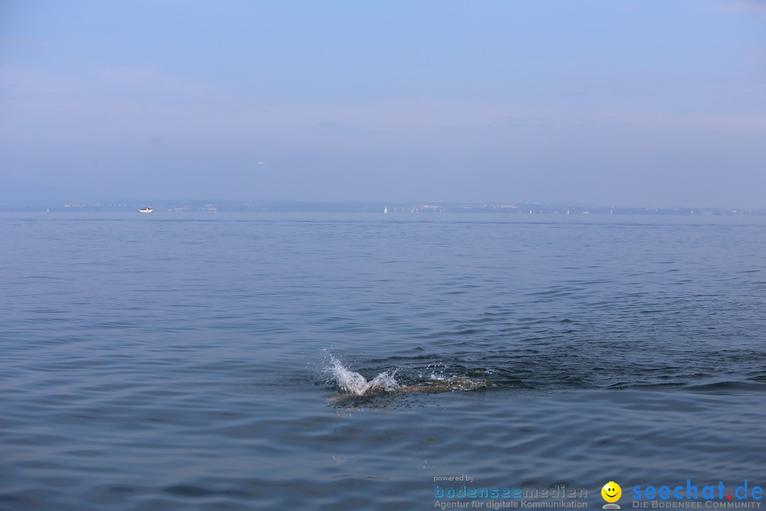 Bodenseequerung mit seechat.de Begleitboot: Maex: Friedrichshafen, 26.09.20