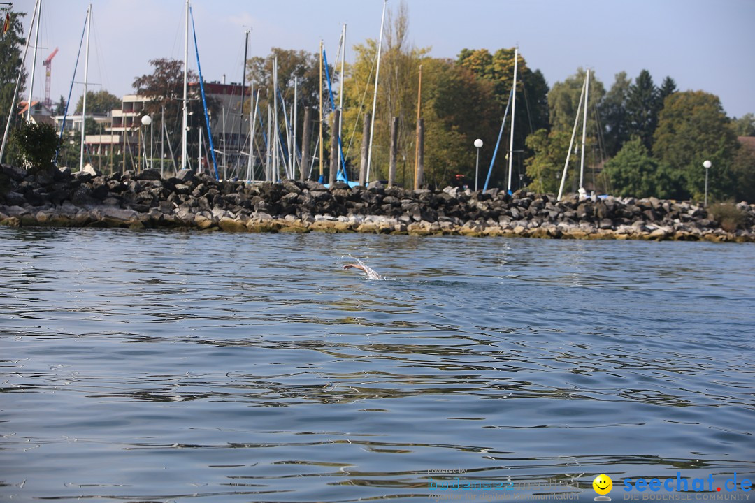 Bodenseequerung mit seechat.de Begleitboot: Maex: Friedrichshafen, 26.09.20