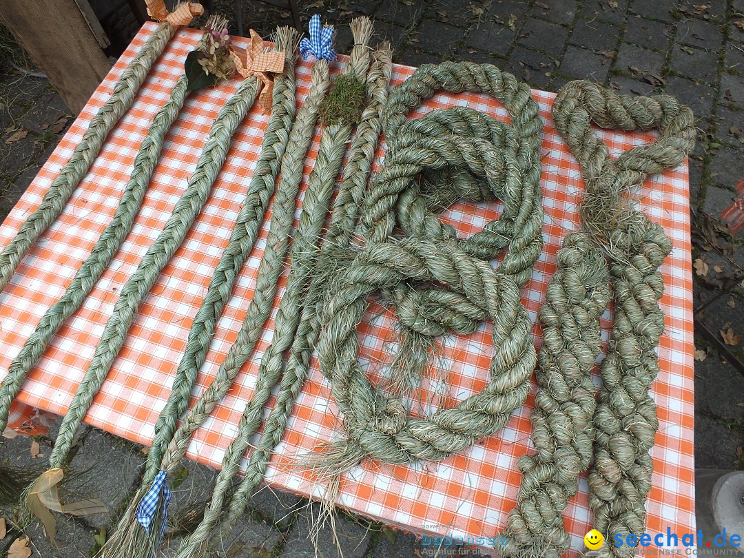 Sichelhenke - Herbstflohmarkt: Otterswang am Bodensee, 11.10.2014