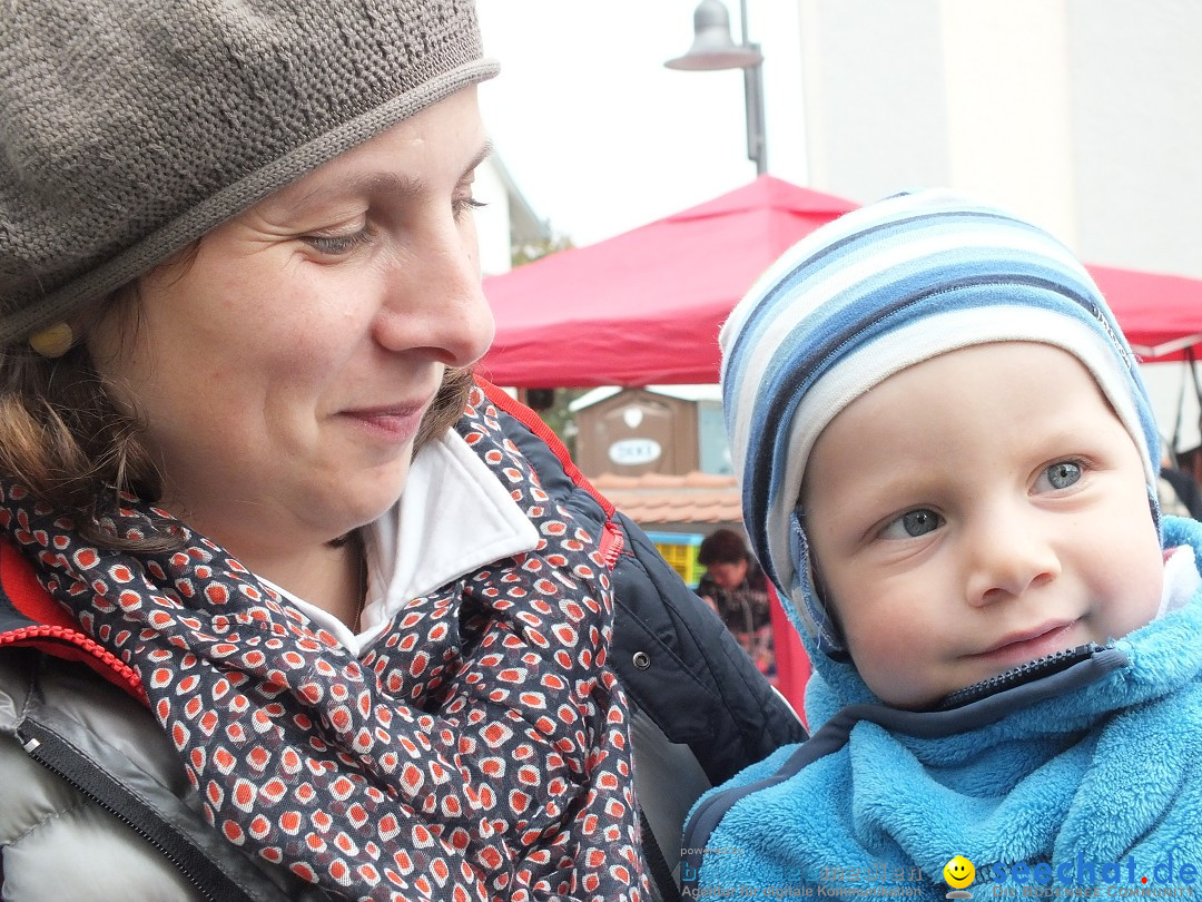 Sichelhenke - Herbstflohmarkt: Otterswang am Bodensee, 11.10.2014