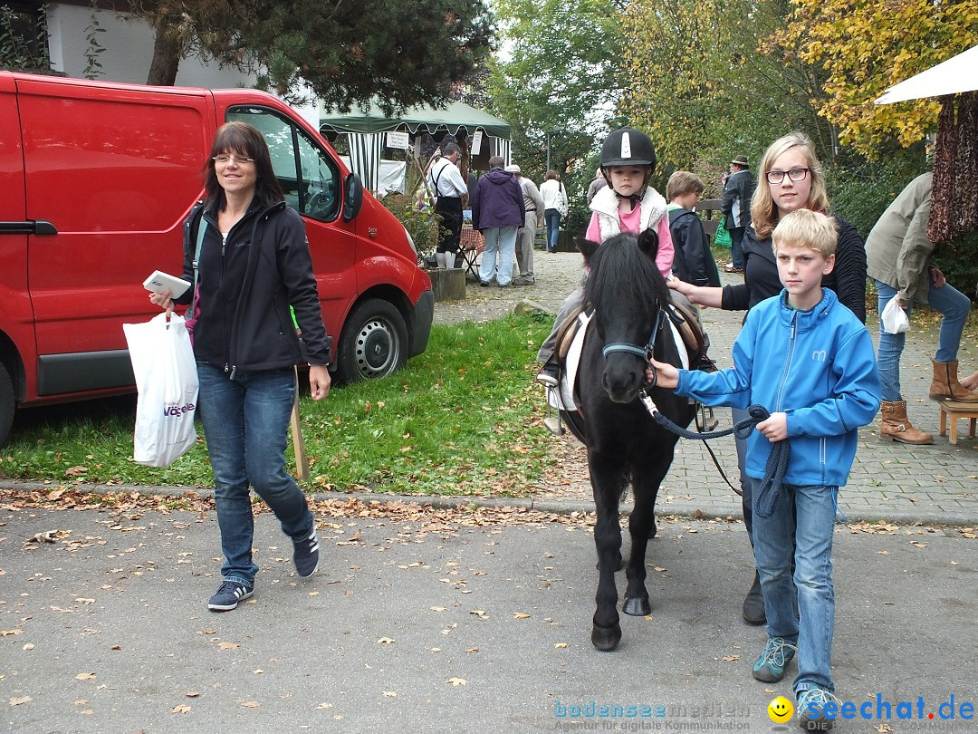 Sichelhenke - Herbstflohmarkt: Otterswang am Bodensee, 11.10.2014