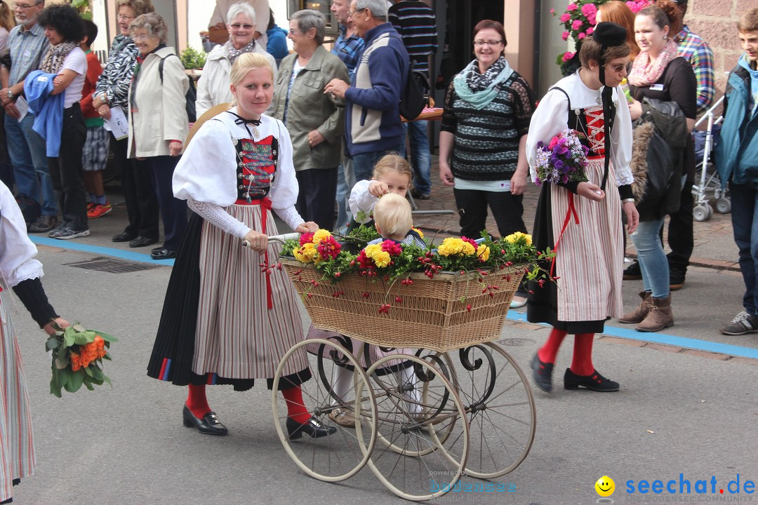 Winzerfest: Hallau - Schweiz, 12.10.2014