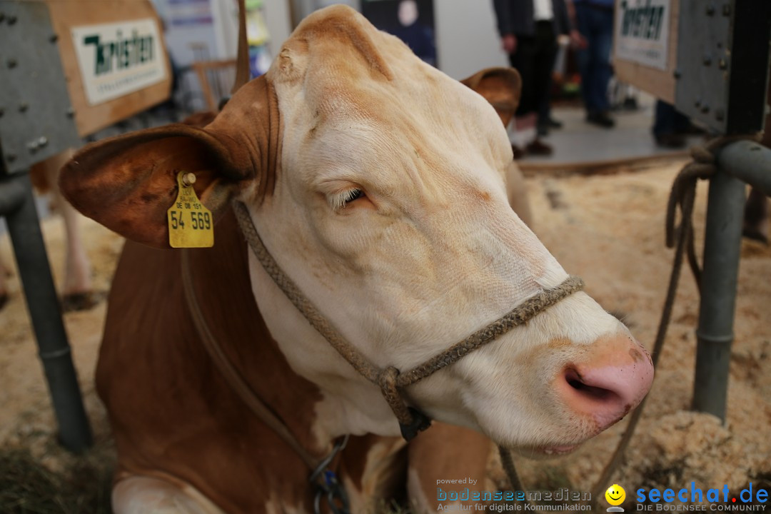 Oberschwabenschau: Ravensburg am Bodensee, 12.10.2014