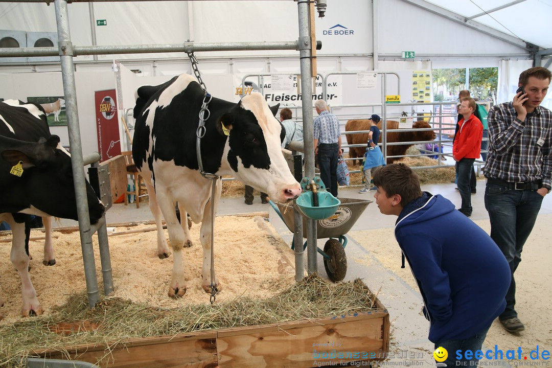 Oberschwabenschau: Ravensburg am Bodensee, 12.10.2014