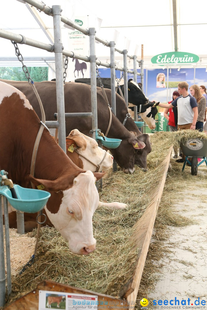 Oberschwabenschau: Ravensburg am Bodensee, 12.10.2014