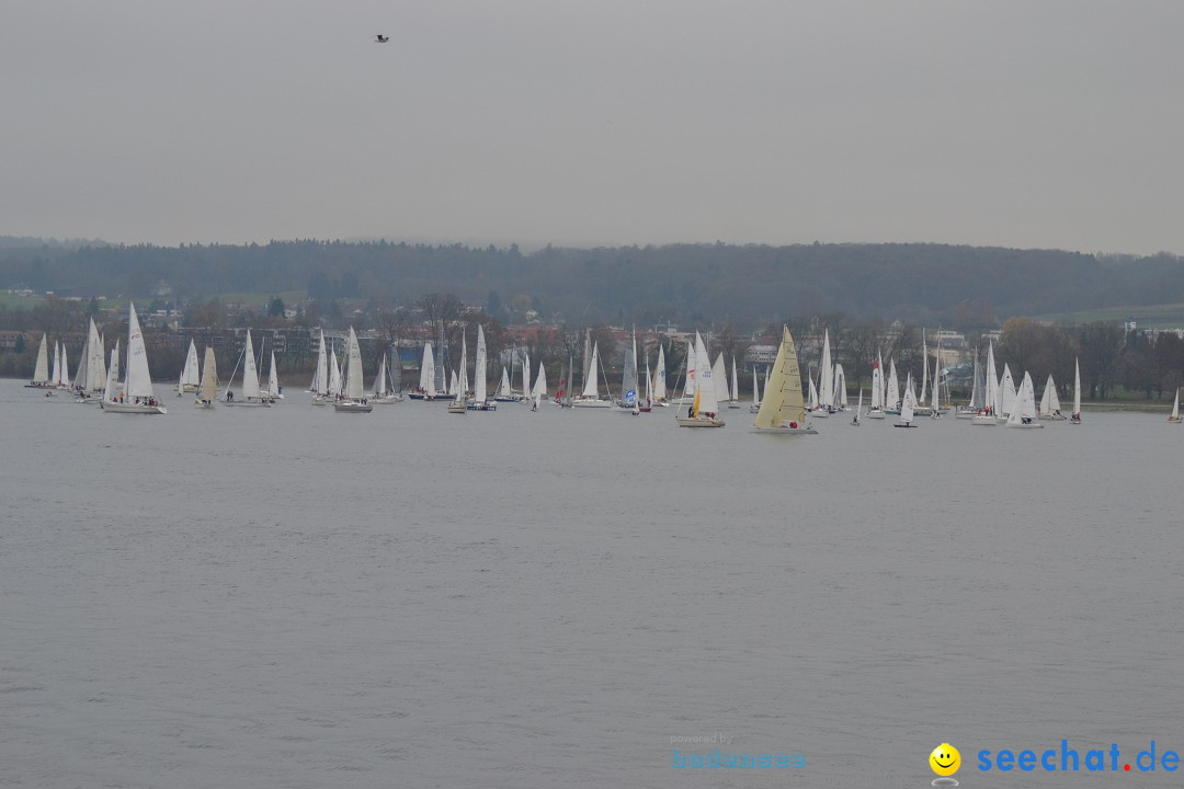 Segelregatta - DIE EISERNE: Konstanz am Bodensee, 29.11.2014