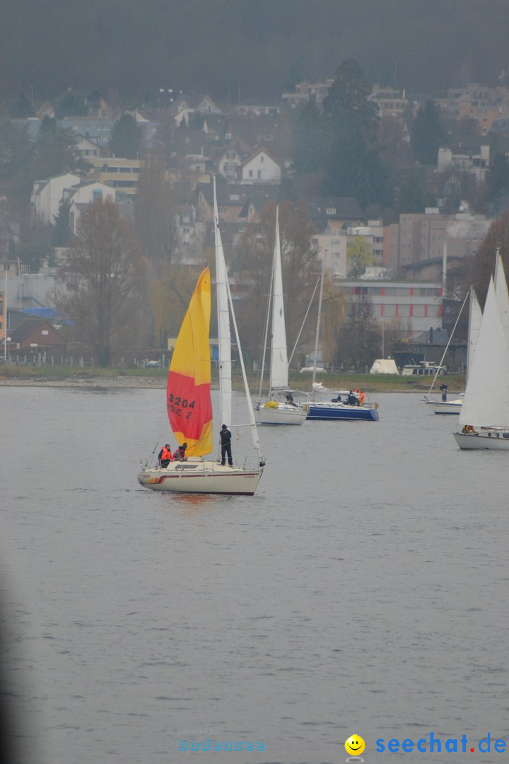 Segelregatta - DIE EISERNE: Konstanz am Bodensee, 29.11.2014