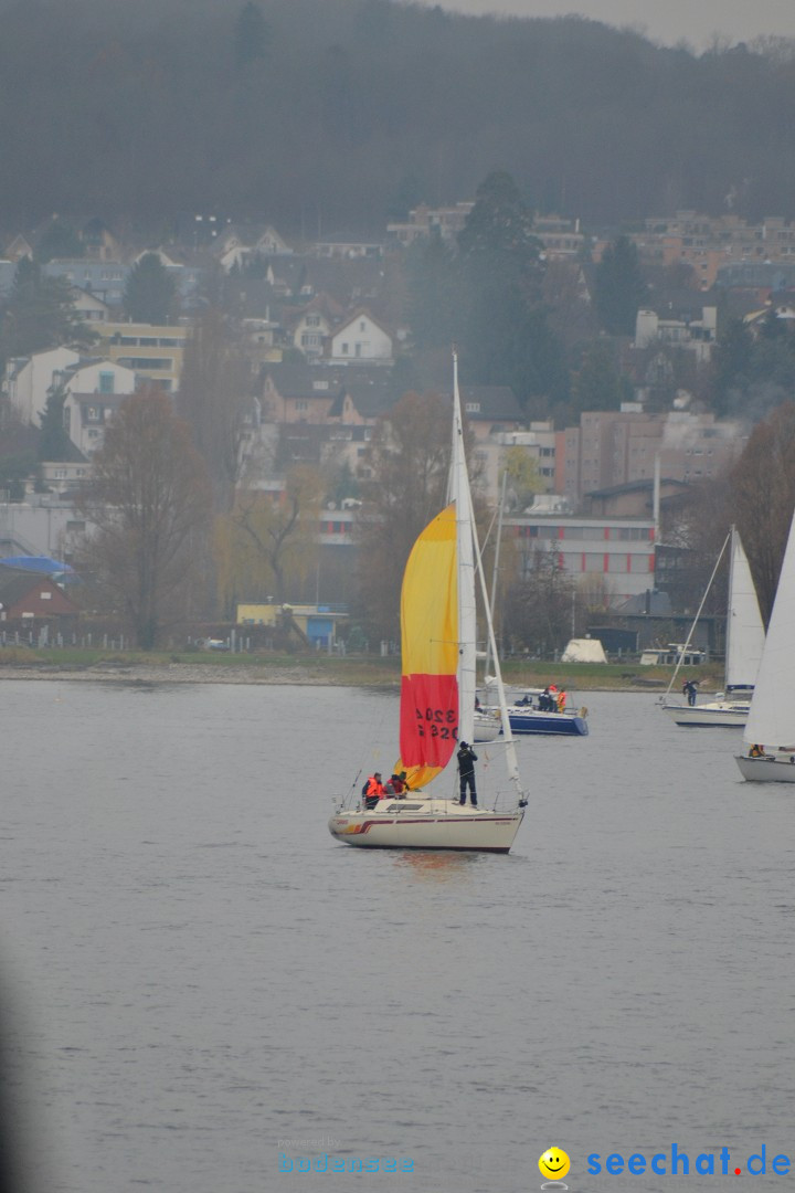 Segelregatta - DIE EISERNE: Konstanz am Bodensee, 29.11.2014