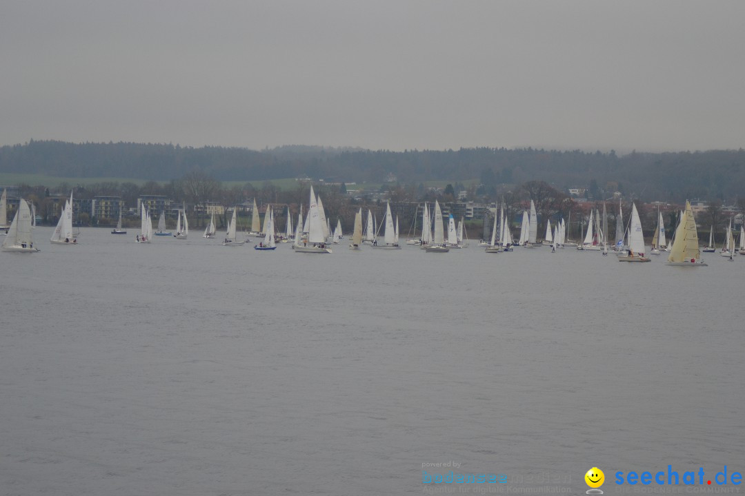 Segelregatta - DIE EISERNE: Konstanz am Bodensee, 29.11.2014