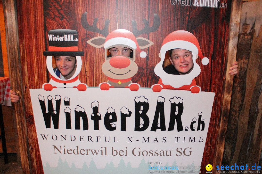 Winterbar - Schweiz: Gossau-Niederwil am Bodensee, 13.12.2014