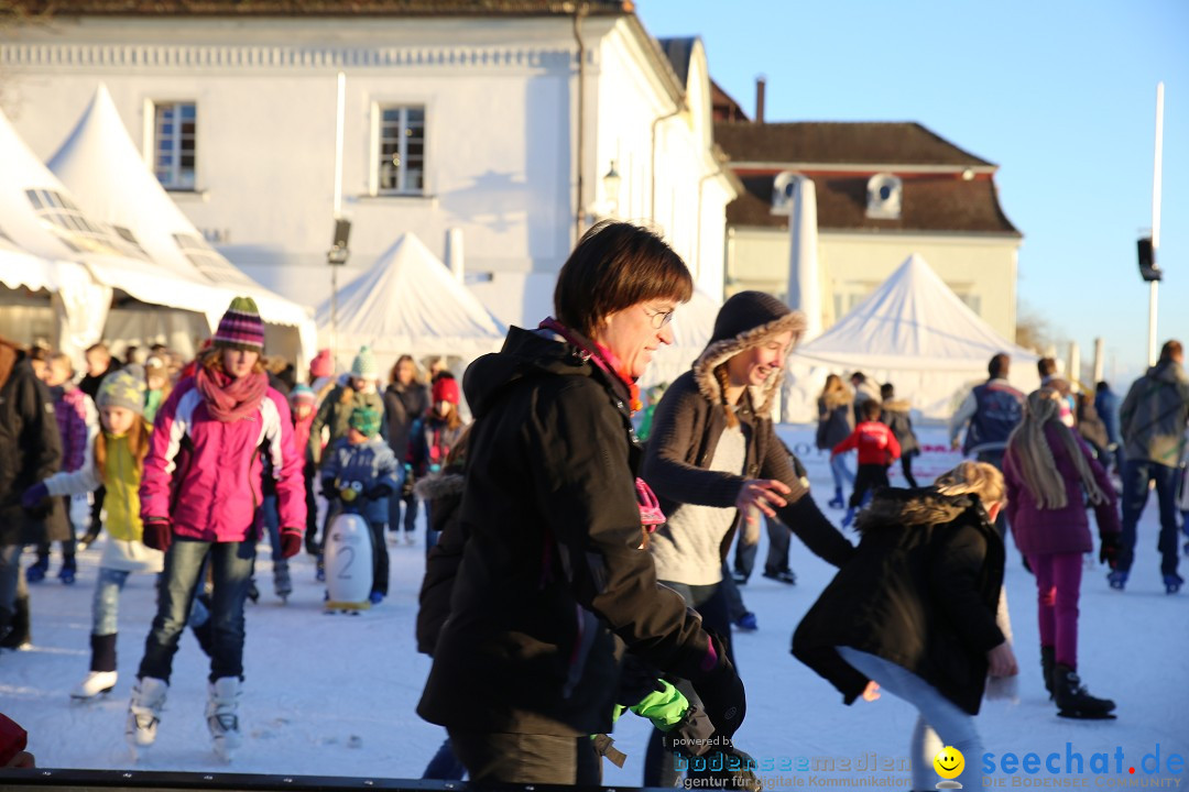 Ueberlingen-On-Ice-05-01-2015-Bodensee-Community-SEECHAT_DE-IMG_6492.JPG