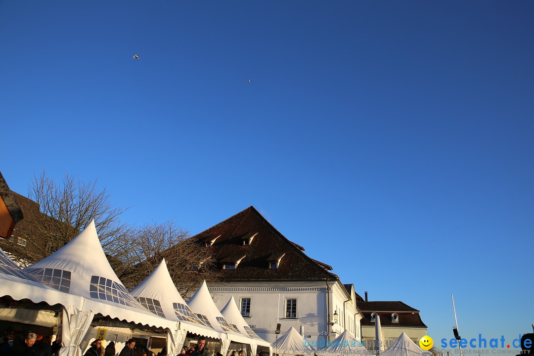 Ueberlingen-On-Ice-05-01-2015-Bodensee-Community-SEECHAT_DE-IMG_6494.JPG