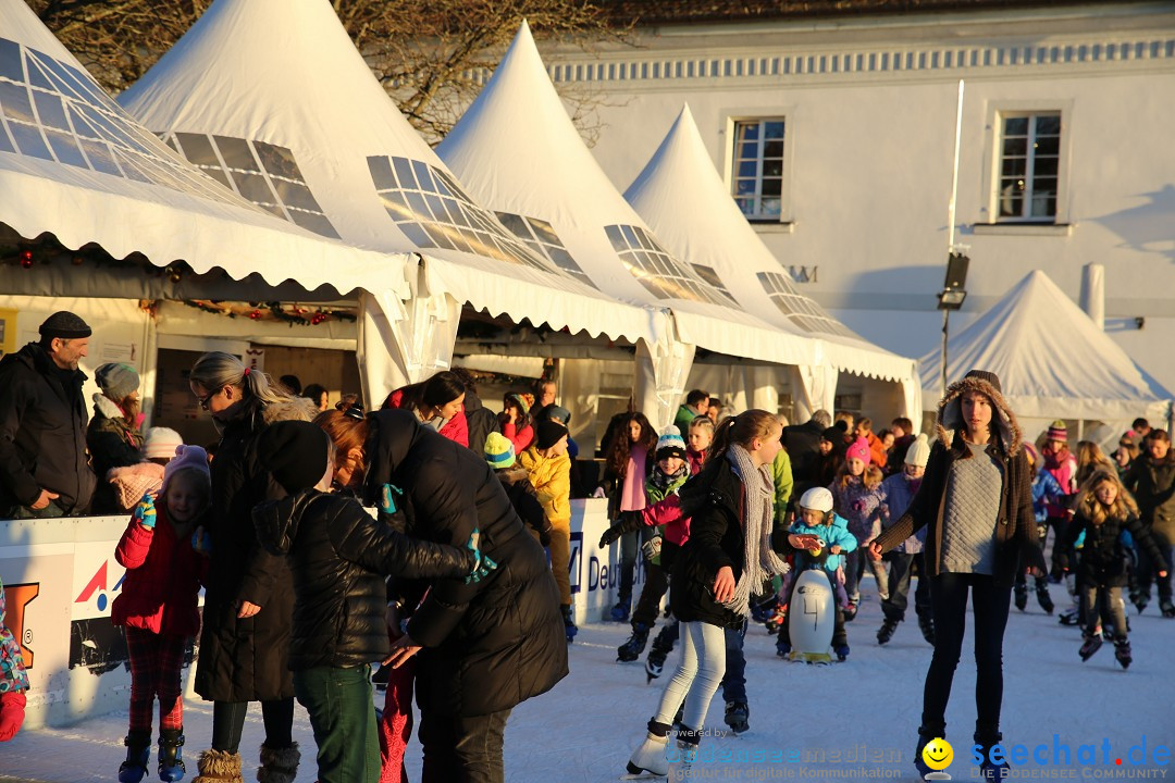 Ueberlingen-On-Ice-05-01-2015-Bodensee-Community-SEECHAT_DE-IMG_6504.JPG