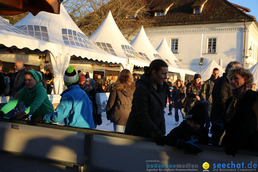 Ueberlingen-On-Ice-05-01-2015-Bodensee-Community-SEECHAT_DE-IMG_6509.JPG