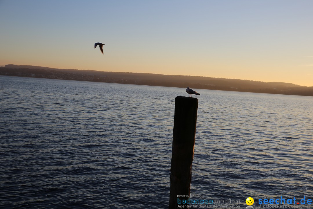 Ueberlingen-On-Ice-05-01-2015-Bodensee-Community-SEECHAT_DE-IMG_6550.JPG