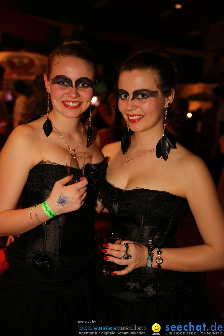 HEXENBALL der Argenhexen mit Heaven: Langenargen am Bodensee, 17.01.2015