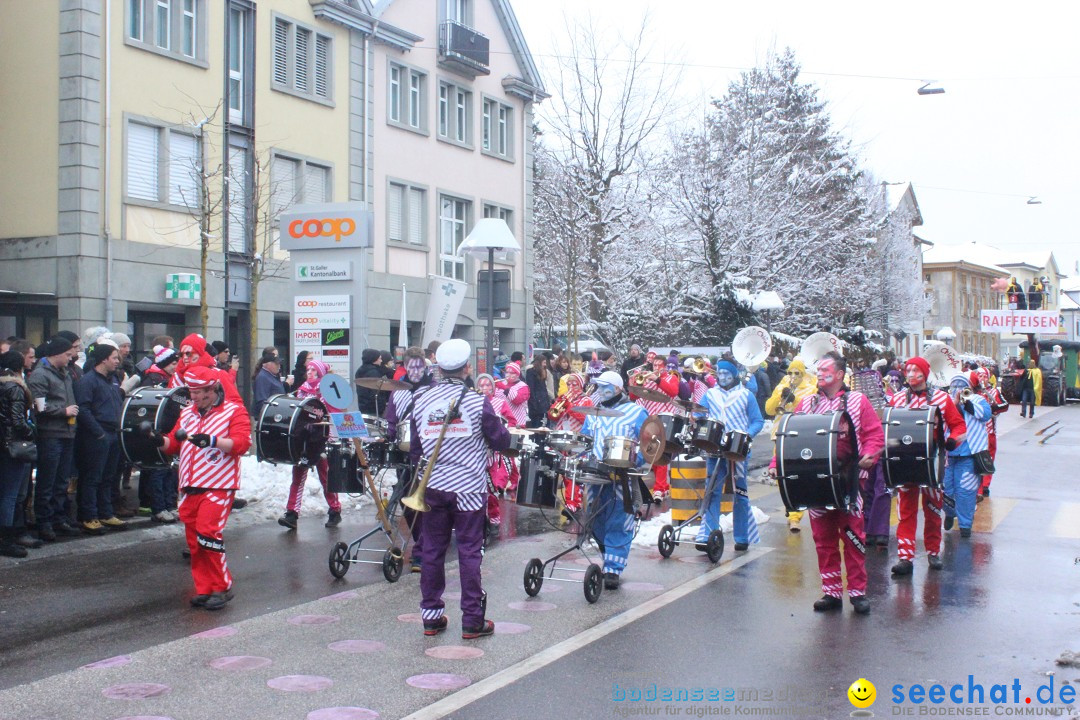 Faschingsumzug mit Motto: Weisch no - Gossau SG, Schweiz, 25.01.2015