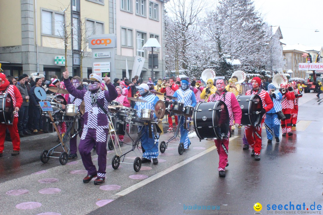 Faschingsumzug mit Motto: Weisch no - Gossau SG, Schweiz, 25.01.2015