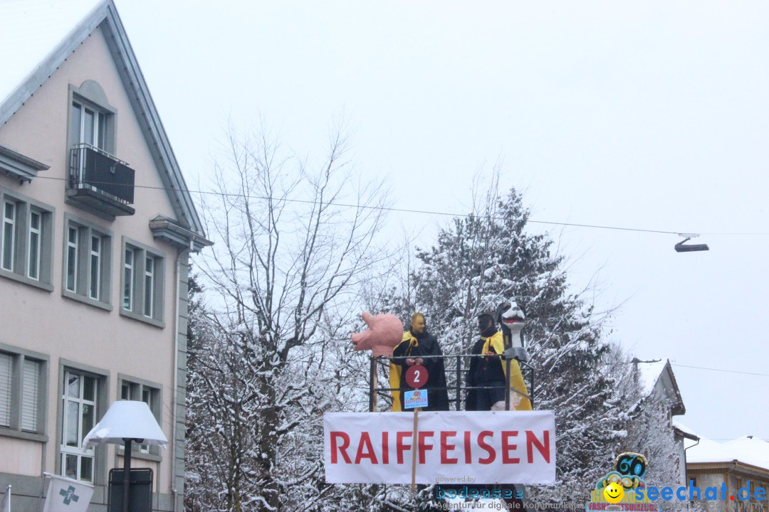 Faschingsumzug mit Motto: Weisch no - Gossau SG, Schweiz, 25.01.2015