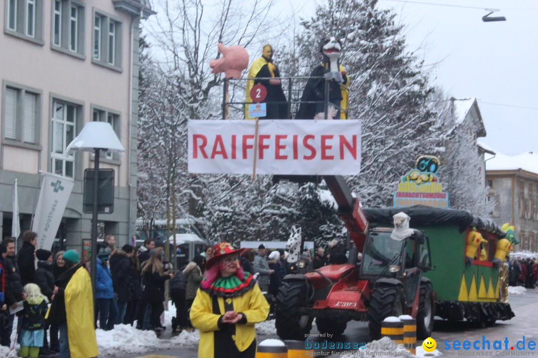 Faschingsumzug mit Motto: Weisch no - Gossau SG, Schweiz, 25.01.2015