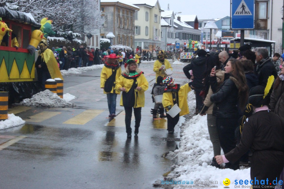 Faschingsumzug mit Motto: Weisch no - Gossau SG, Schweiz, 25.01.2015