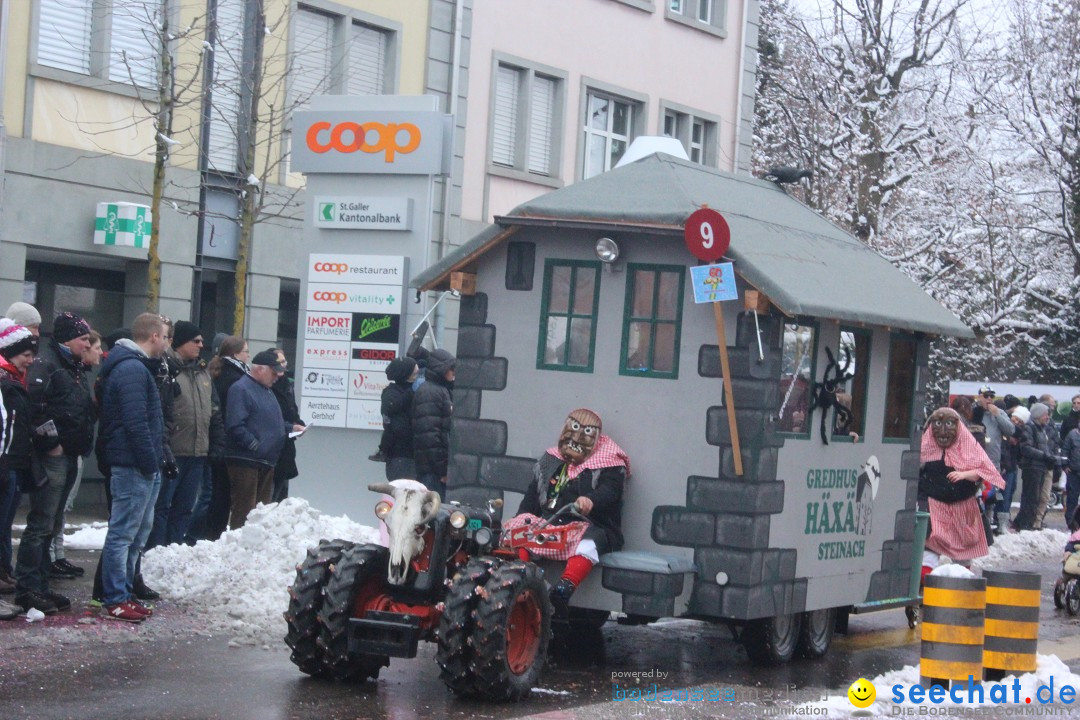 Faschingsumzug mit Motto: Weisch no - Gossau SG, Schweiz, 25.01.2015