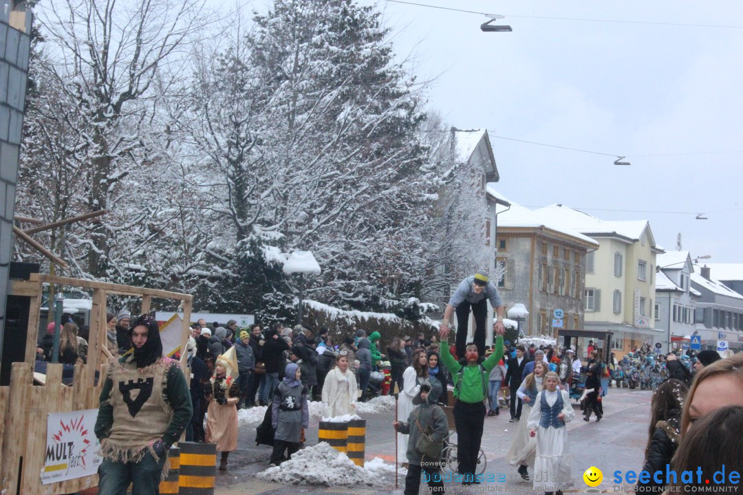 Faschingsumzug mit Motto: Weisch no - Gossau SG, Schweiz, 25.01.2015