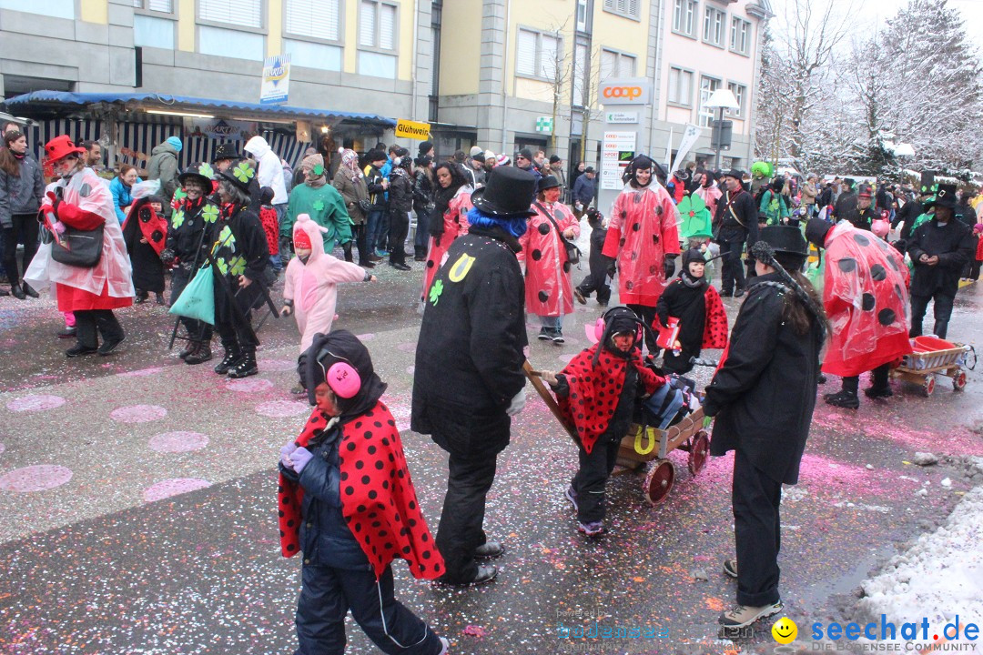 Faschingsumzug mit Motto: Weisch no - Gossau SG, Schweiz, 25.01.2015