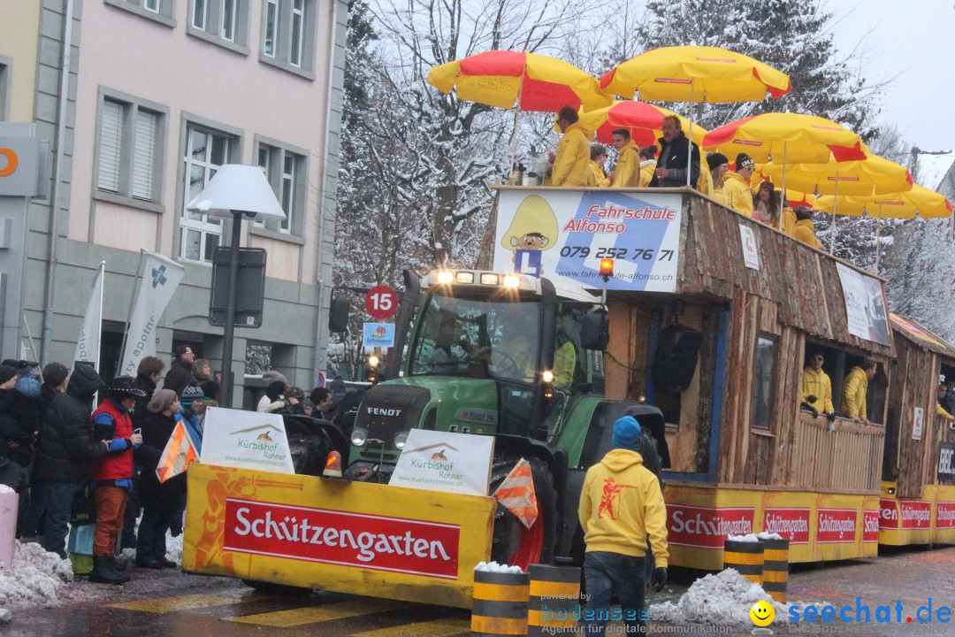 Faschingsumzug mit Motto: Weisch no - Gossau SG, Schweiz, 25.01.2015