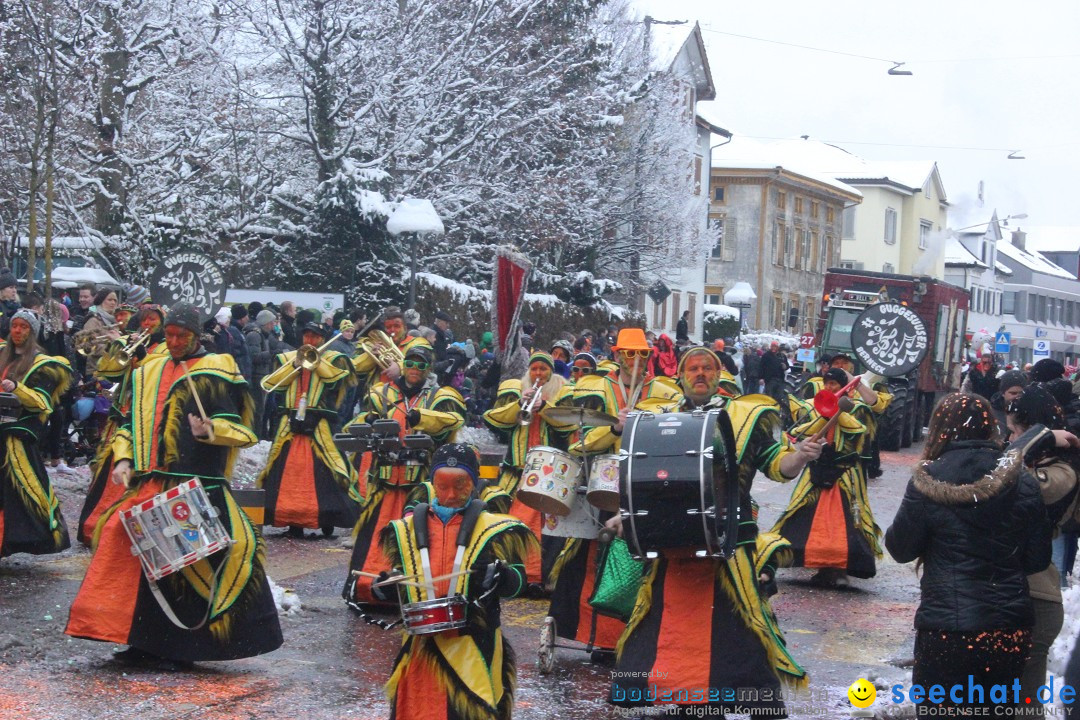 Faschingsumzug mit Motto: Weisch no - Gossau SG, Schweiz, 25.01.2015