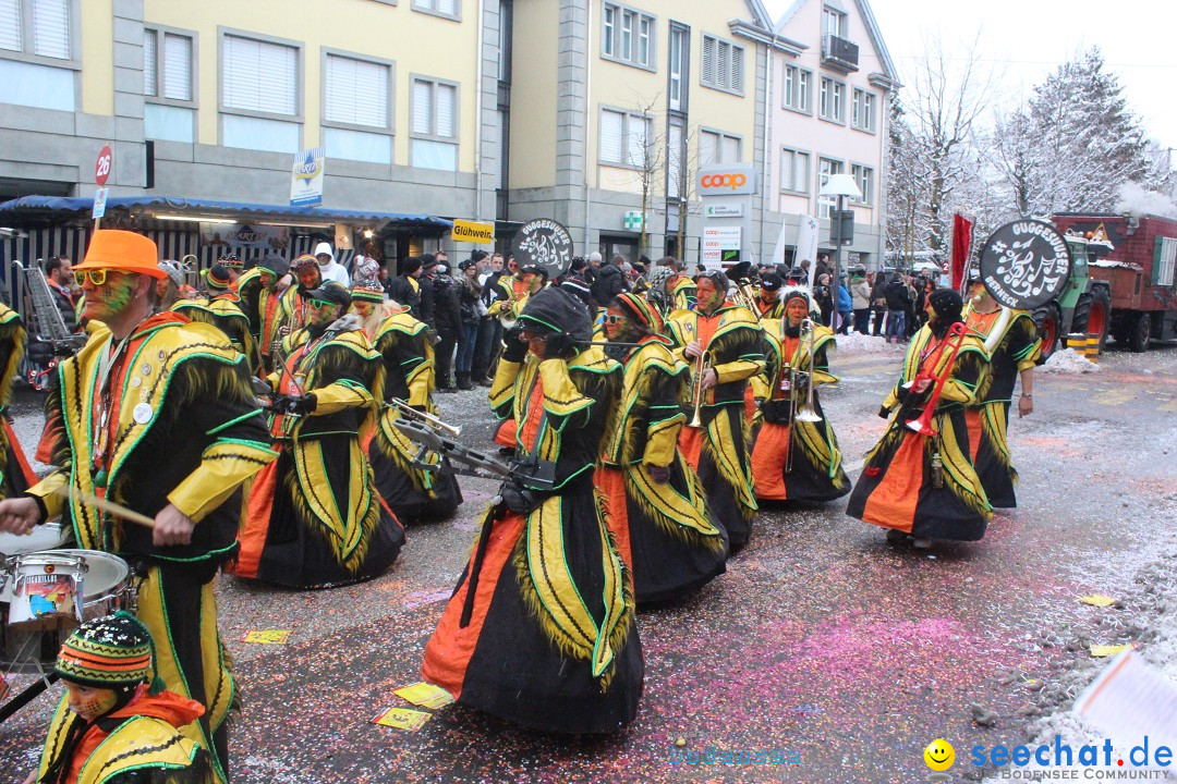 Faschingsumzug mit Motto: Weisch no - Gossau SG, Schweiz, 25.01.2015