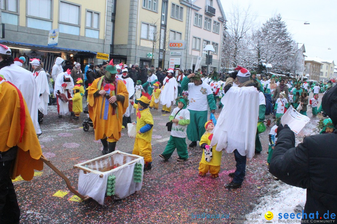 Faschingsumzug mit Motto: Weisch no - Gossau SG, Schweiz, 25.01.2015