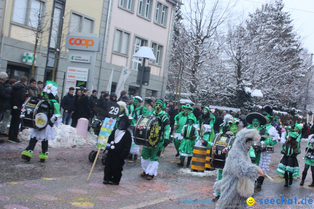 Faschingsumzug mit Motto: Weisch no - Gossau SG, Schweiz, 25.01.2015