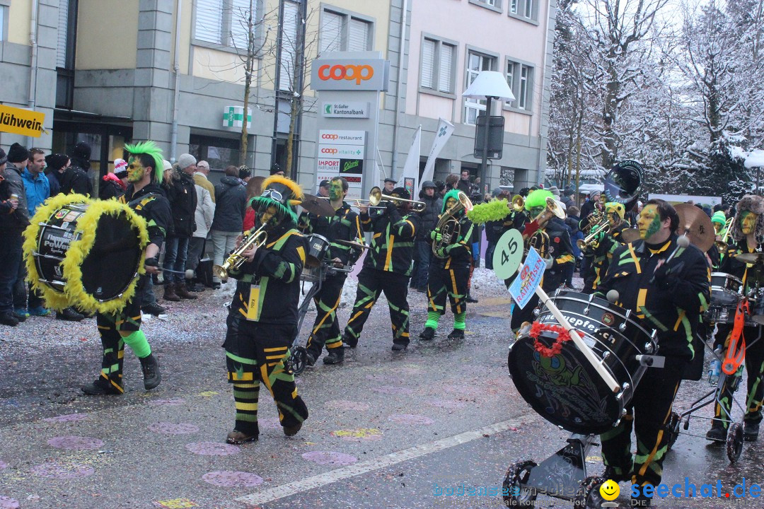 Faschingsumzug mit Motto: Weisch no - Gossau SG, Schweiz, 25.01.2015