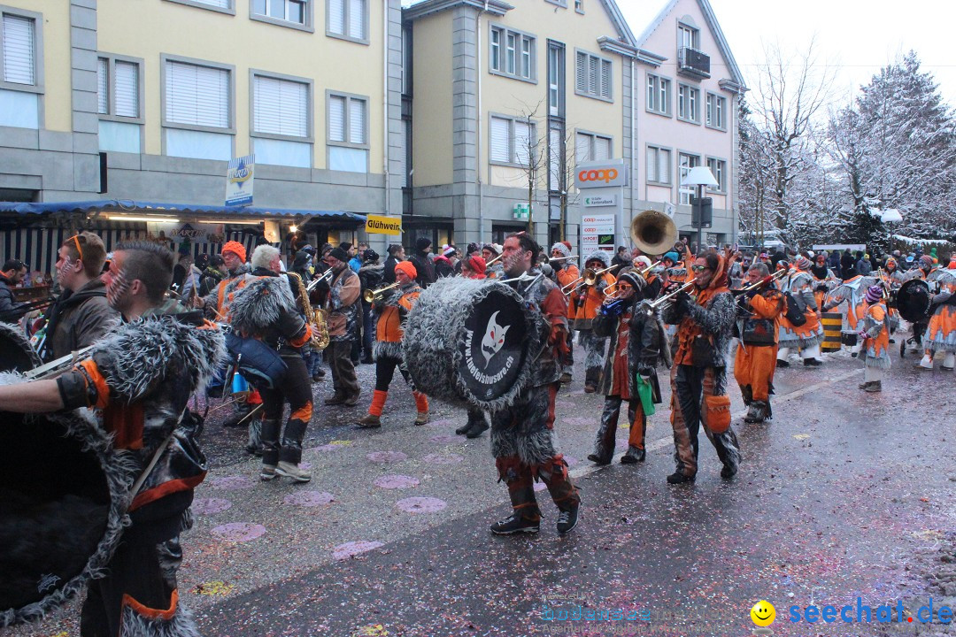 Faschingsumzug mit Motto: Weisch no - Gossau SG, Schweiz, 25.01.2015