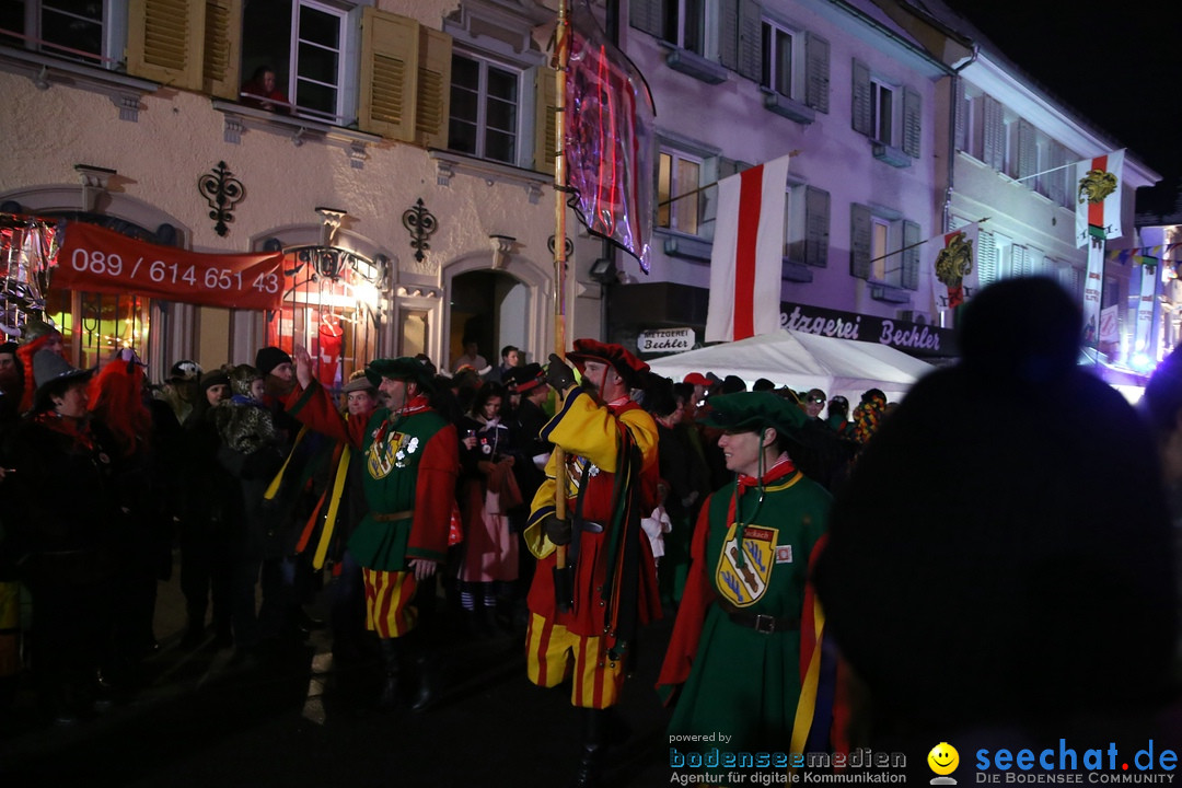 Nachtumzug - 700 JAHRE MORGARTEN: Stockach am Bodensee, 31.01.2015