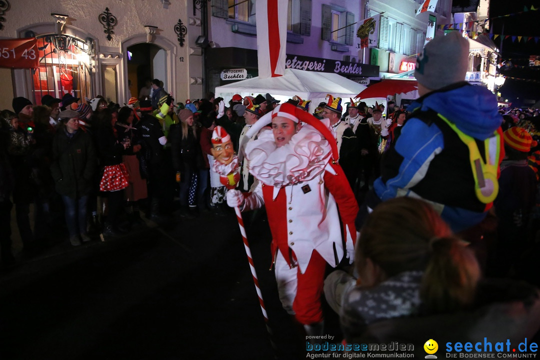 Nachtumzug - 700 JAHRE MORGARTEN: Stockach am Bodensee, 31.01.2015