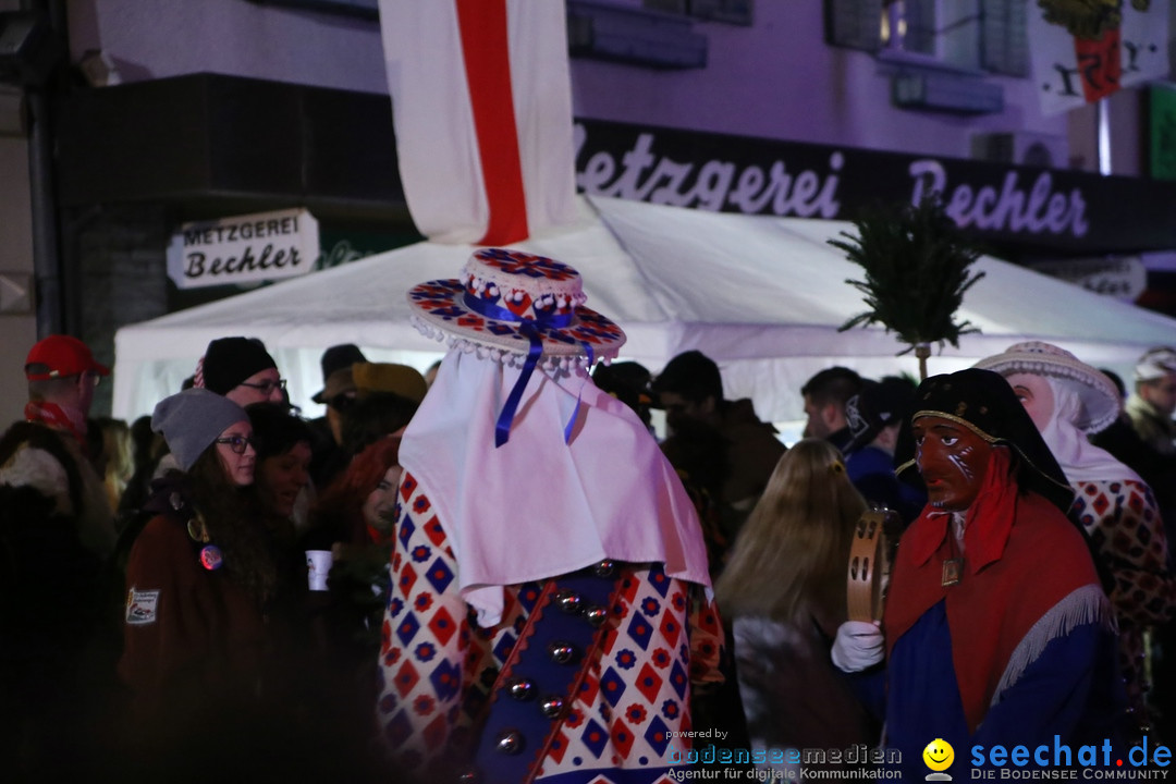 Nachtumzug - 700 JAHRE MORGARTEN: Stockach am Bodensee, 31.01.2015