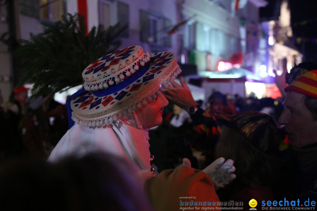 Nachtumzug - 700 JAHRE MORGARTEN: Stockach am Bodensee, 31.01.2015