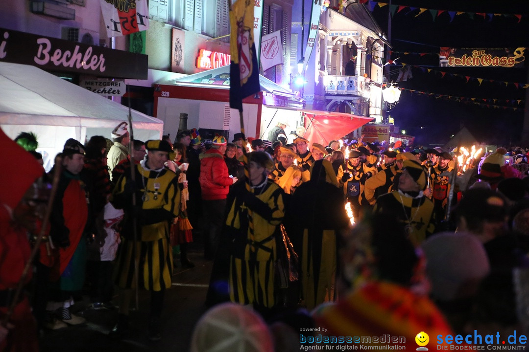 Nachtumzug - 700 JAHRE MORGARTEN: Stockach am Bodensee, 31.01.2015