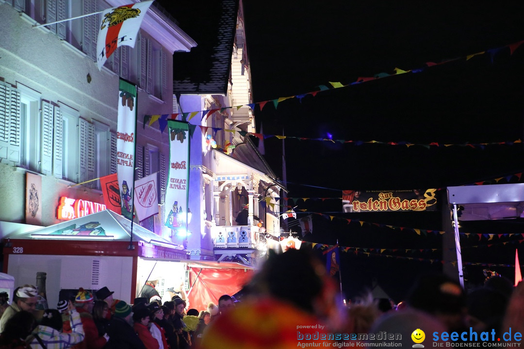 Nachtumzug - 700 JAHRE MORGARTEN: Stockach am Bodensee, 31.01.2015