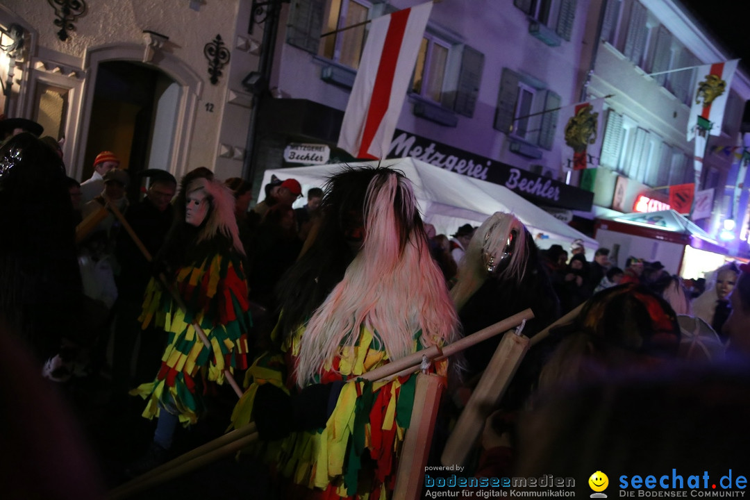 Nachtumzug - 700 JAHRE MORGARTEN: Stockach am Bodensee, 31.01.2015