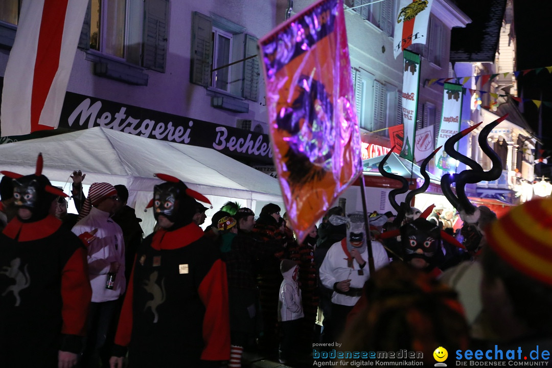 Nachtumzug - 700 JAHRE MORGARTEN: Stockach am Bodensee, 31.01.2015