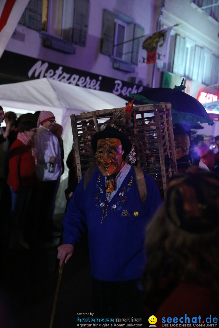 Nachtumzug - 700 JAHRE MORGARTEN: Stockach am Bodensee, 31.01.2015