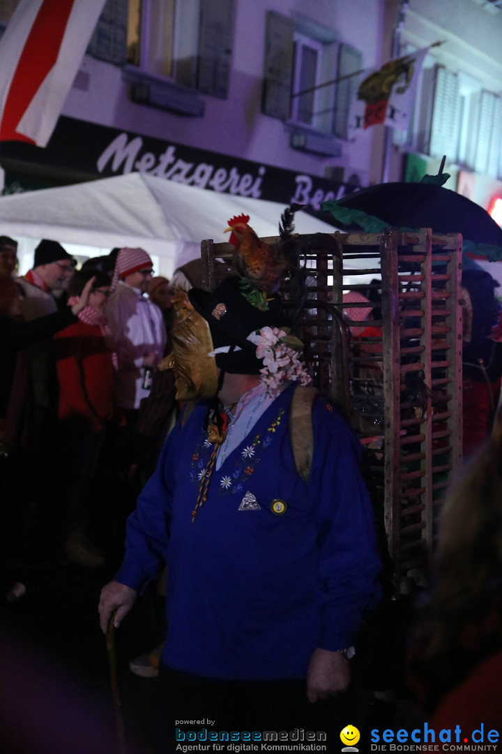 Nachtumzug - 700 JAHRE MORGARTEN: Stockach am Bodensee, 31.01.2015